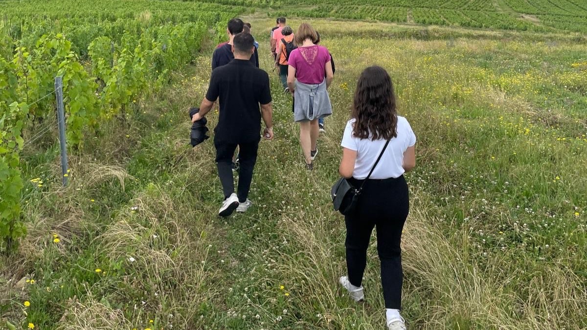 “La balade de La Perrière” – Toute la journée